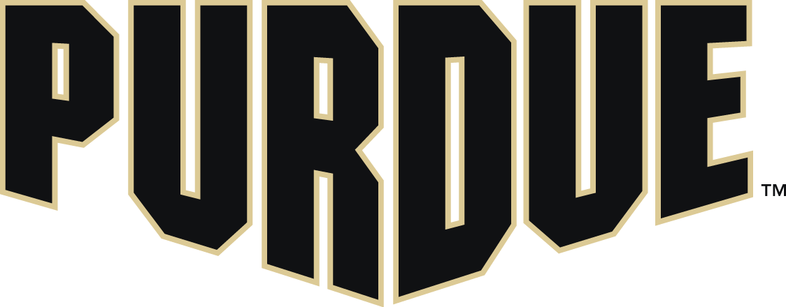 Purdue Boilermakers 2012-Pres Wordmark Logo v8 diy DTF decal sticker